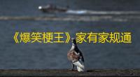 《爆笑梗王》家有家规通关攻略